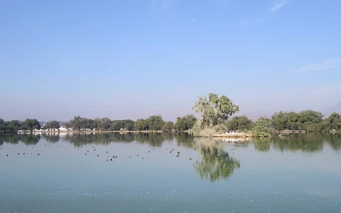 Laguna de Axotlan image