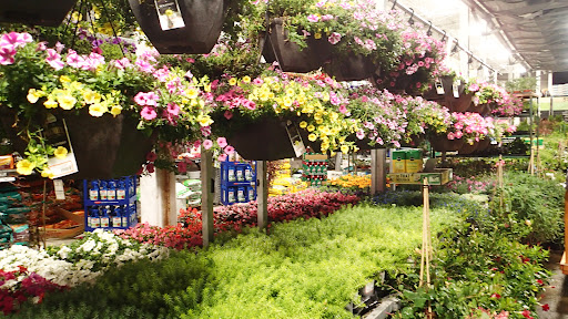 Home Improvement Store «The Home Depot», reviews and photos, 1037 Arnold Dr, Martinez, CA 94553, USA