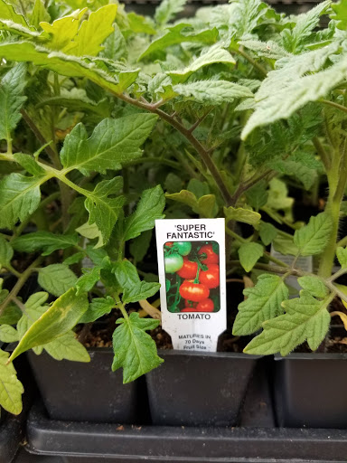 Grocery Store «Fareway Grocery», reviews and photos, 1635 W 53rd St, Davenport, IA 52806, USA