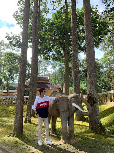 Top 20 cửa hàng ikonic Huyện Thoại Sơn An Giang 2022