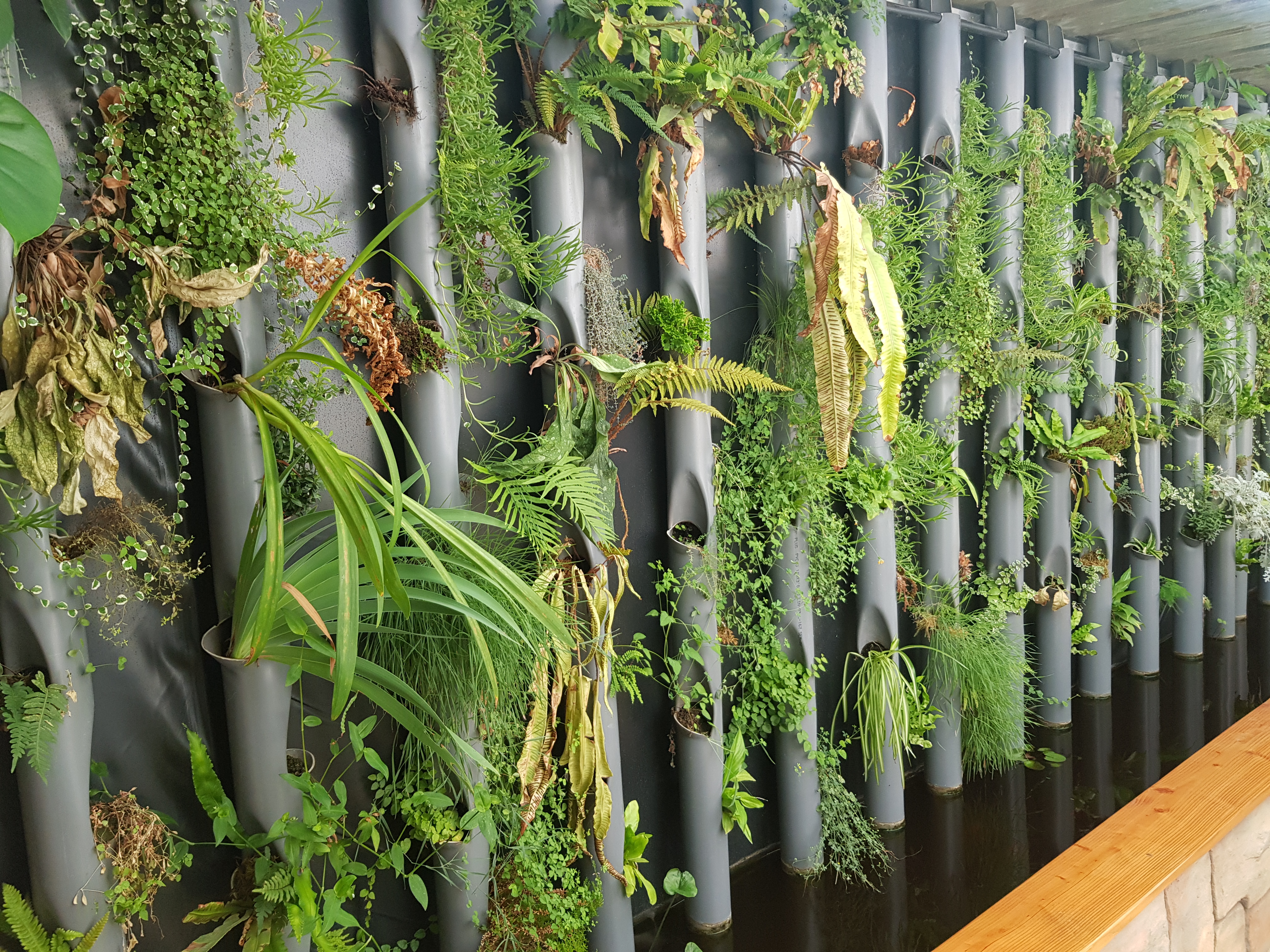 Photo n° 23 de l'avis de Lala.a fait le 24/08/2020 à 19:44