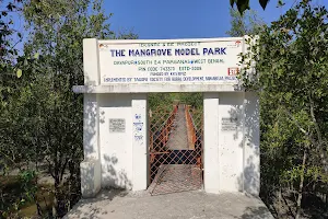 Mangrove Model Park image