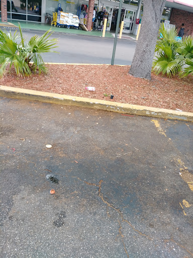 Discount Store «Dollar General», reviews and photos, 201 38th Ave N, St Petersburg, FL 33704, USA