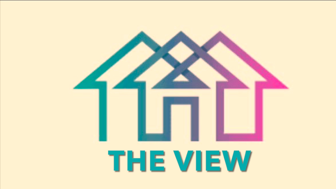 The view investments