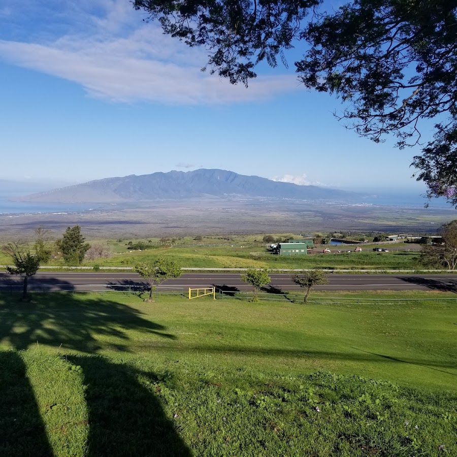 Picnic Spot, Maui Up Country