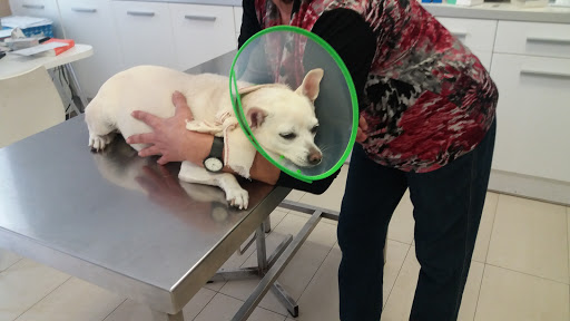 Clínica Veterinaria Santa Ana en Tudela