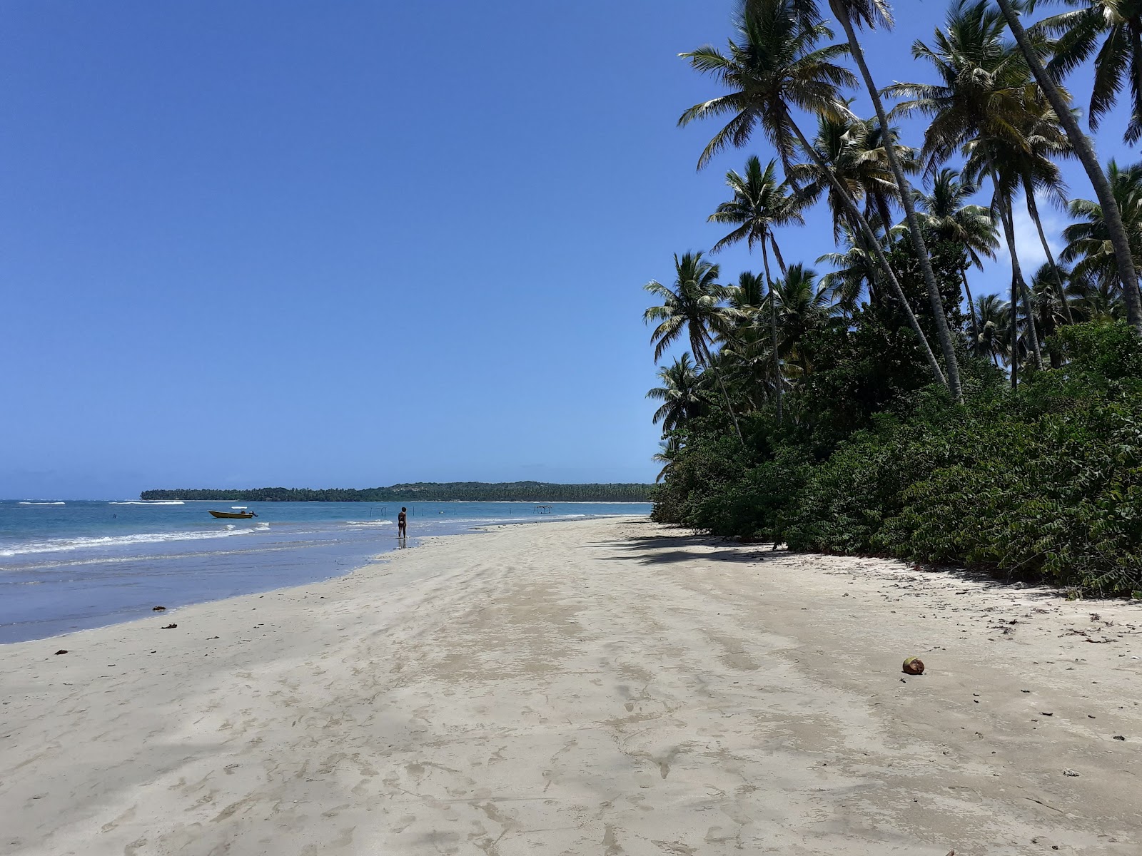 Photo de Praia de Tassimirim avec plage spacieuse