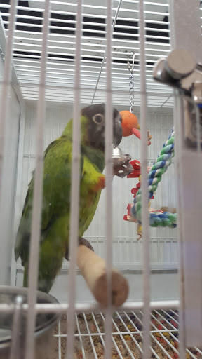 Pet Supply Store «Pet Supplies Plus», reviews and photos, 531 Monroe Ave, Rochester, NY 14607, USA