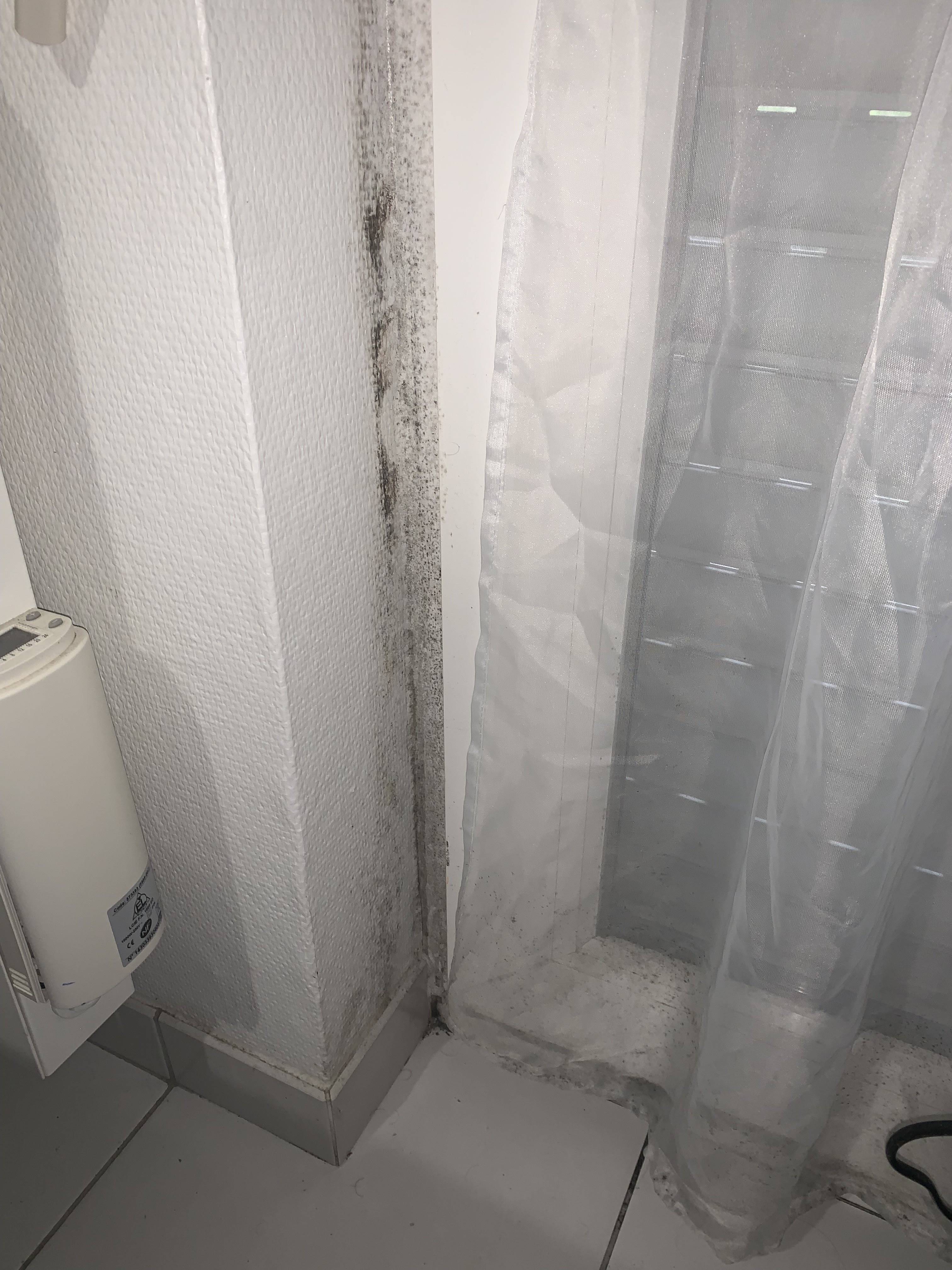 Photo n° 5 de l'avis de Mathis.a fait le 02/02/2023 à 15:32