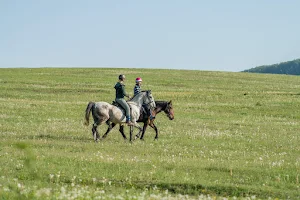 Transylvania on Horseback image