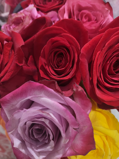 Supermarket «Publix Super Market at Miami Lakes», reviews and photos, 15000 Miami Lakes Dr, Miami Lakes, FL 33014, USA