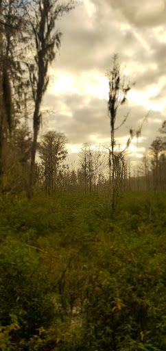 City Park «Palatlakaha Recreation Park», reviews and photos