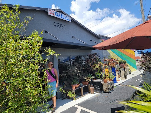 OddBalls Nifty Thrift, 530 NE 13th St, Fort Lauderdale, FL 33304, USA, 