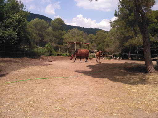 Información y opiniones sobre Comercial safaja de San Quirico Safaja