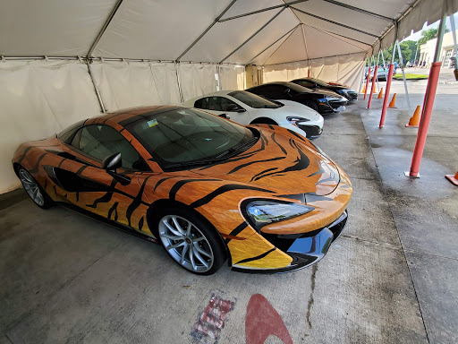 Car Repair and Maintenance «Dimmitt Automotive Group - Luxury & Exotic Pre-Owned Cars», reviews and photos, 3333 Gandy Blvd u, Pinellas Park, FL 33781, USA