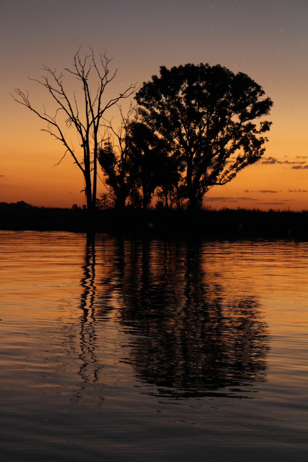 Swannies Fishing