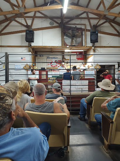 Clay County Goat And Poultry Auction