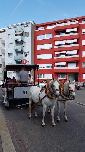 Rezensionen über Settelen AG (Tankstelle) in Basel - Tankstelle