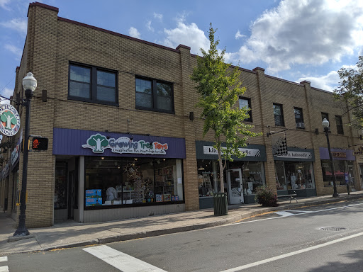 Gift Shop «Growing Tree Toys», reviews and photos, 202 S Allen St, State College, PA 16801, USA