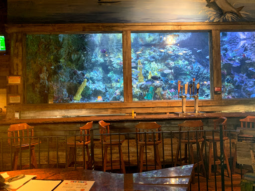 Sporting Goods Store «Bass Pro Shops», reviews and photos, 3629 Outdoor Sportsman Pl, Kodak, TN 37764, USA