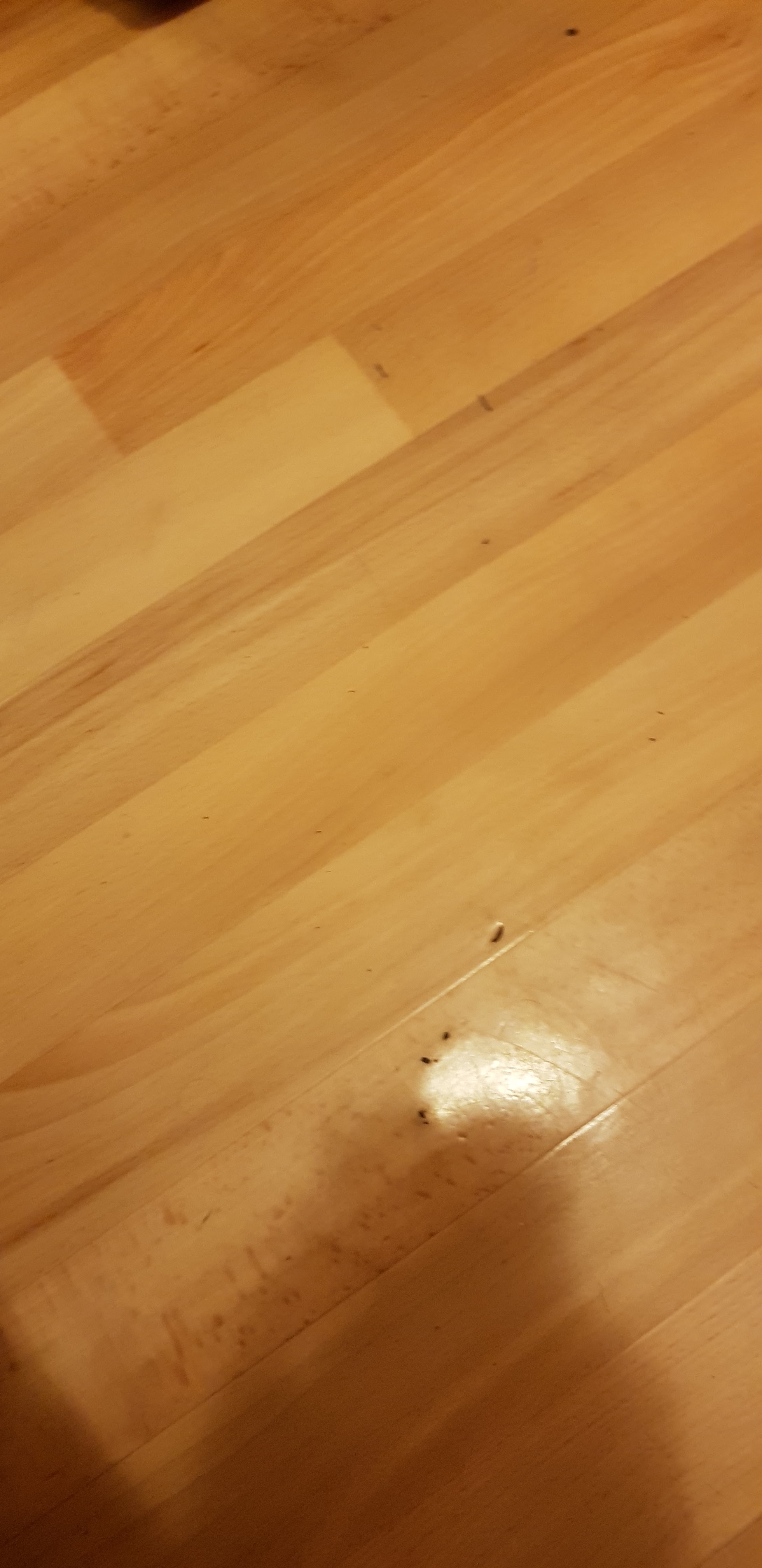 Photo n° 16 de l'avis de Berglind.a fait le 02/02/2019 à 21:03