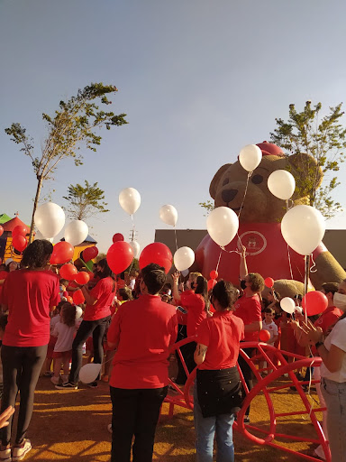 Logo da empresa - Maple Bear Ribeirão Preto