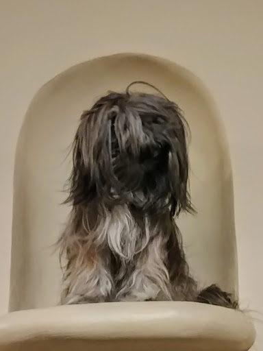 Performing Arts Theater «Fitzgerald Theater», reviews and photos, 10 E Exchange St, St Paul, MN 55101, USA