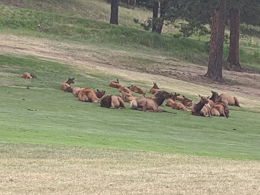 Golf Course «Evergreen Golf Course», reviews and photos, 29614 Upper Bear Creek Rd, Evergreen, CO 80439, USA