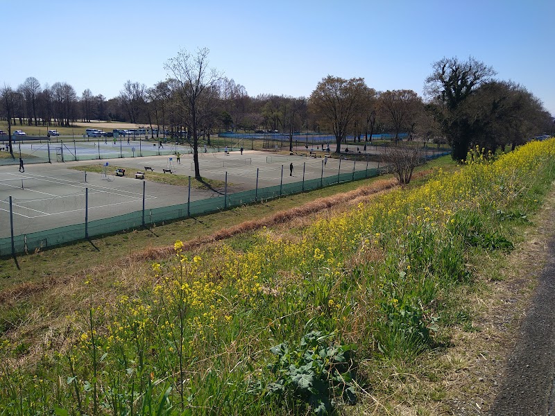 秋ヶ瀬公園テニスコート