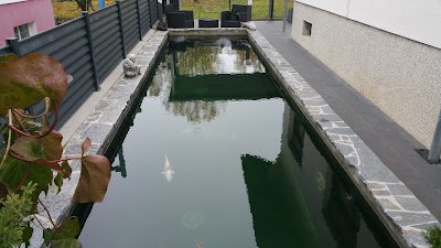 Eau Paradis à Ruelisheim