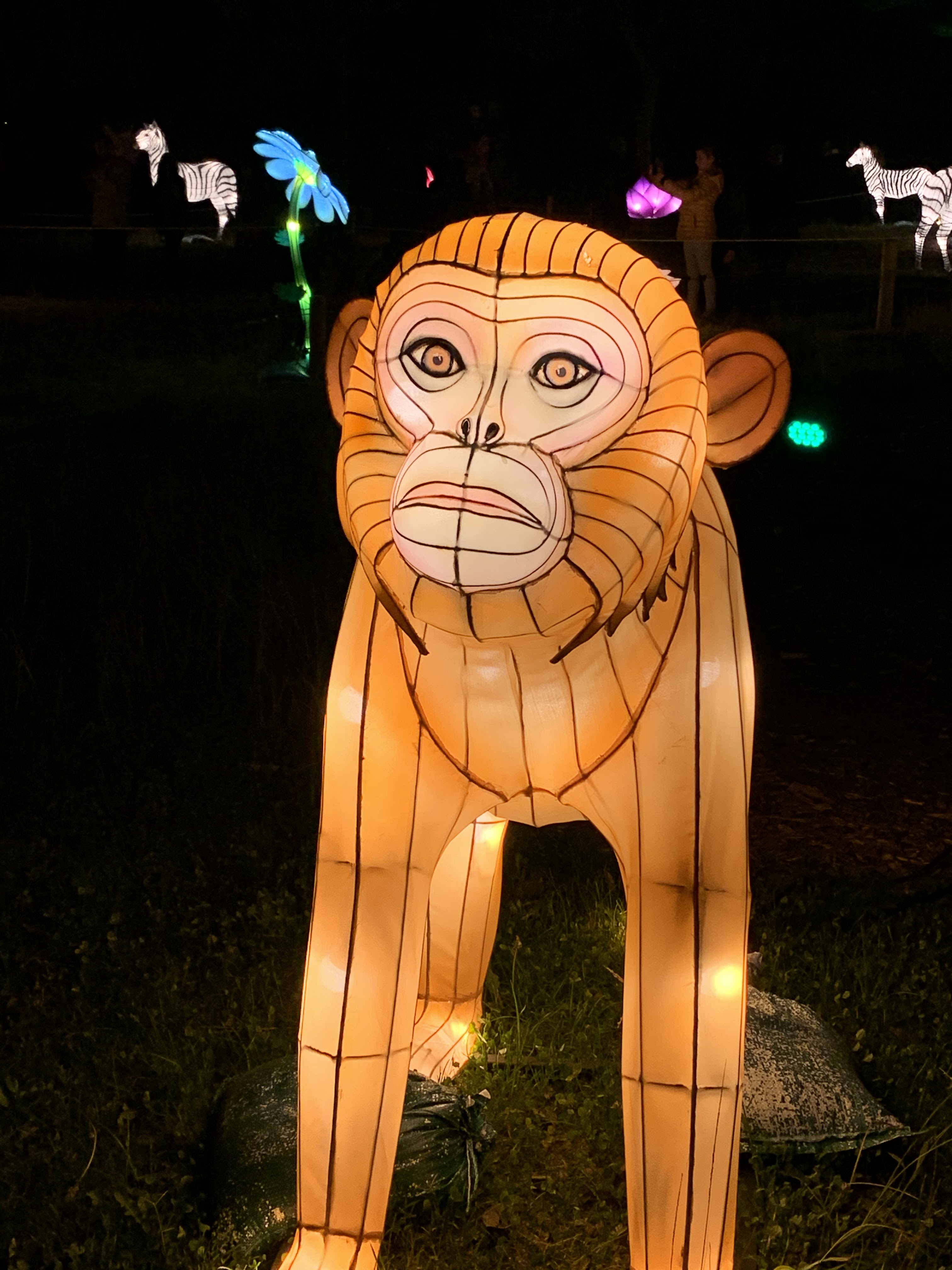 Photo n° 5 de l'avis de C.t fait le 08/01/2020 à 10:58