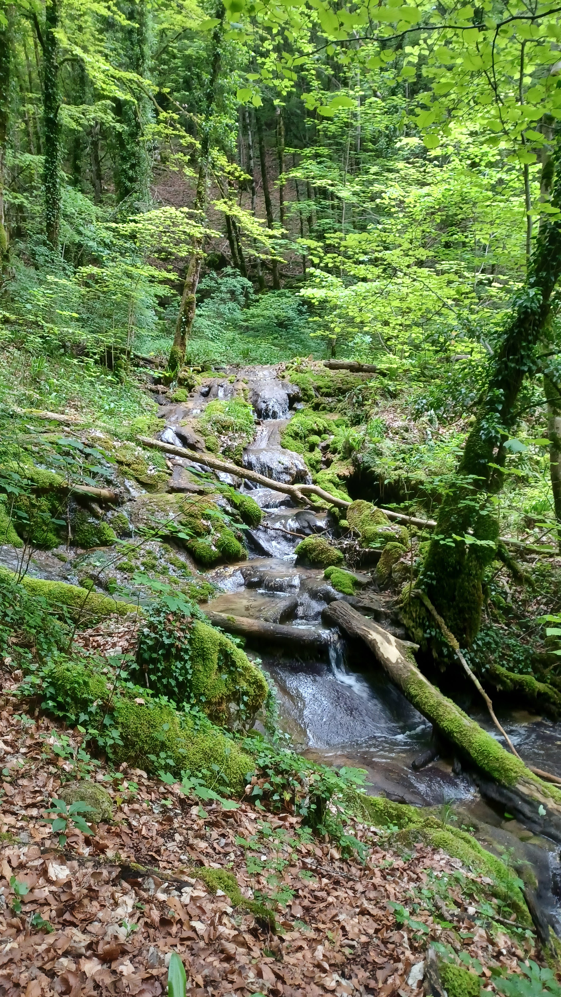 Photo n° 9 de l'avis de Françoise.I fait le 27/05/2023 à 15:56