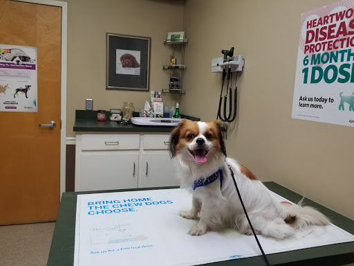 Deerfoot Animal Clinic image