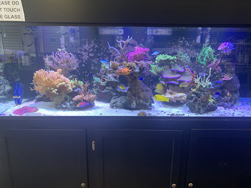 Tropical Fish Store «Midwest Aquarium Services», reviews and photos, 745 45th St S, Fargo, ND 58103, USA