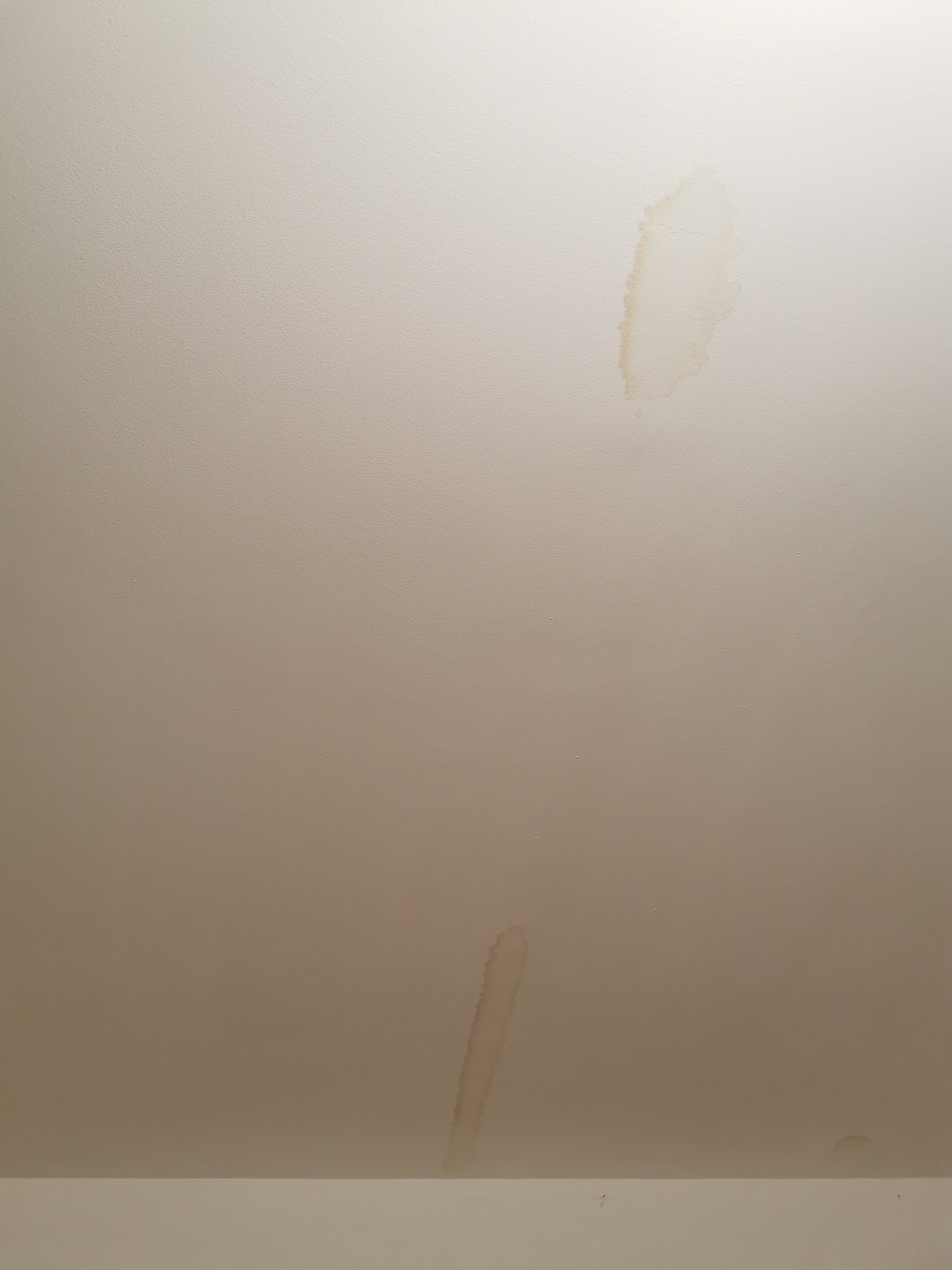 Photo n° 2 de l'avis de abdou.o fait le 01/09/2023 à 05:41