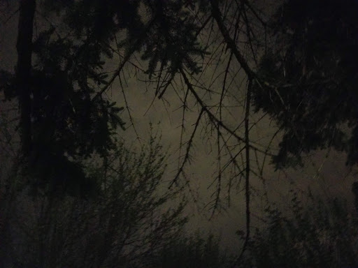 Park «Bass Lake Park», reviews and photos, 3450 Glenhurst Ave, Minneapolis, MN 55416, USA