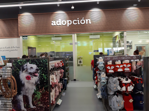 Petco Torreón