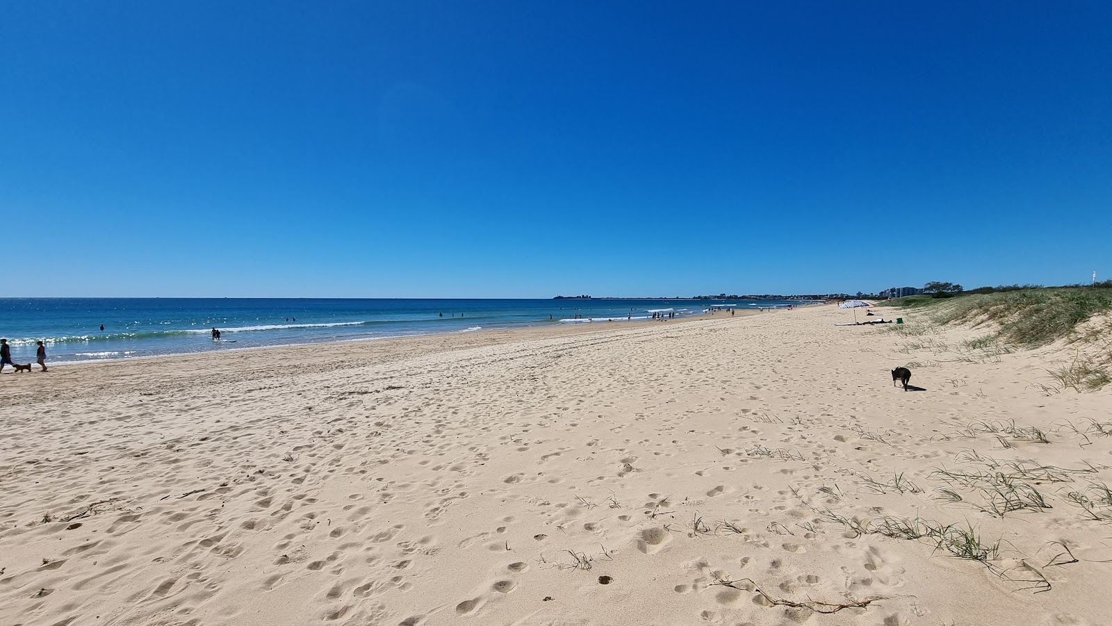 Foto de Mudjimba Beach com areia fina e brilhante superfície