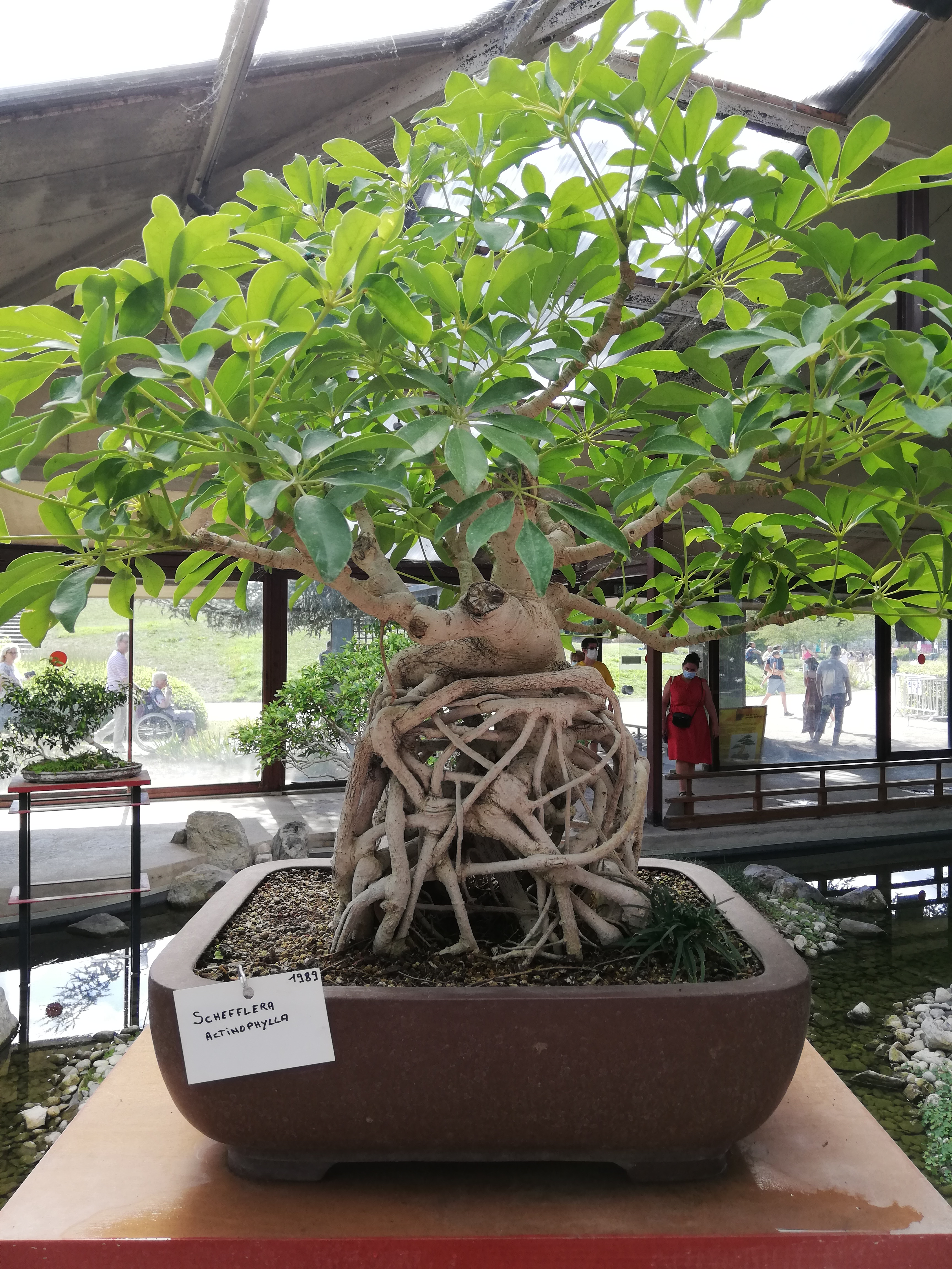 Photo n° 13 de l'avis de Samia.e fait le 16/08/2020 à 16:39