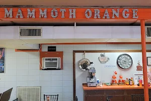 Mammoth Orange Cafe image