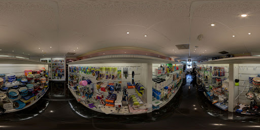 Pet Store «Puppy Boutique Store», reviews and photos, 4001 N Federal Hwy, Fort Lauderdale, FL 33308, USA