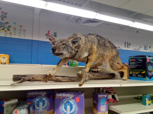 Grocery Store «P & R Discount Grocery», reviews and photos, 600 Scranton Carbondale Hwy, Eynon, PA 18403, USA