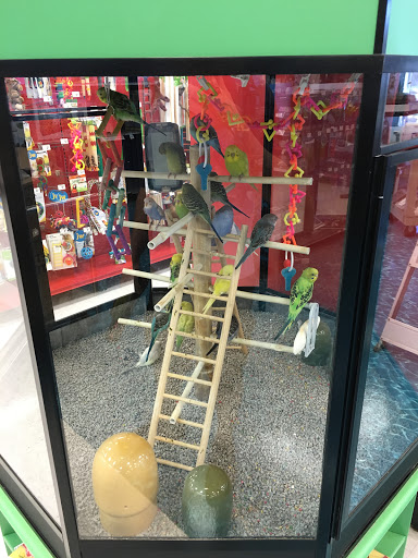 Pet Supply Store «Petco Animal Supplies», reviews and photos, 9078 SE Sunnyside Rd, Clackamas, OR 97015, USA