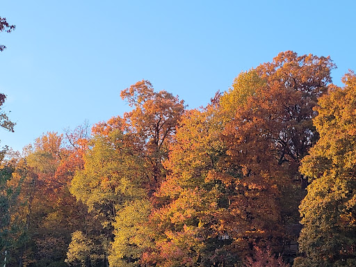 Retreat Center «Refreshing Mountain Retreat and Adventure Center», reviews and photos, 455 Camp Rd, Stevens, PA 17578, USA