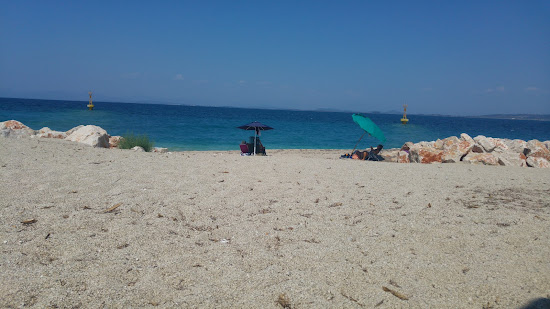 Ammoglossa Beach
