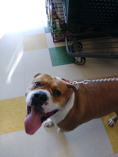 Pet Supply Store «Pet Supplies Plus», reviews and photos, 411 Commack Rd, Deer Park, NY 11729, USA