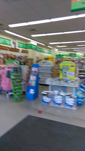 Dollar Store «Dollar Tree», reviews and photos, 15004 115th Dr, Jamaica, NY 11434, USA