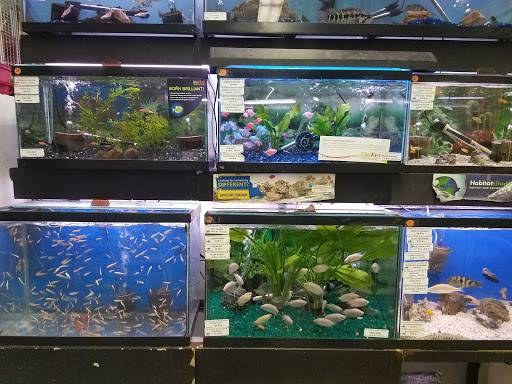 Petland Discounts - Pitkin Avenue, 1689 Pitkin Ave, Brooklyn, NY 11212, USA, 