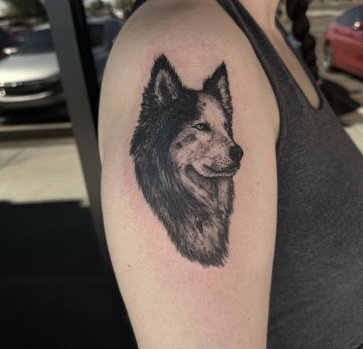 Explore alice in wonderland tattoo ideas female, creative tattoo ideas in Peoria, available at Modern Ink Tattoo