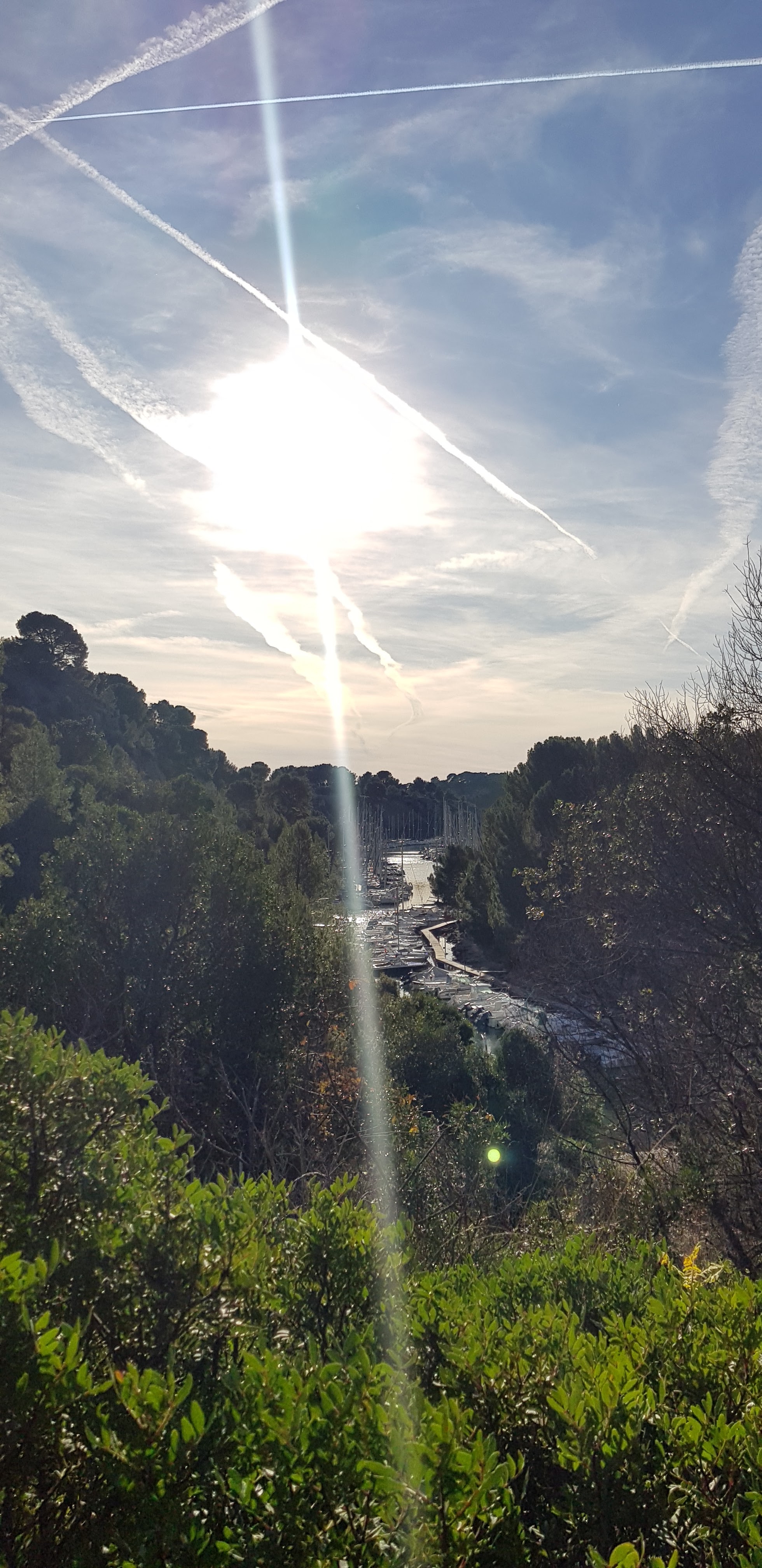 Photo n° 38 de l'avis de David.o fait le 07/01/2019 à 16:46